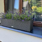 Wolf House Klínovec Penzion 3*