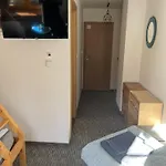 Wolf House Klínovec Penzion 3*