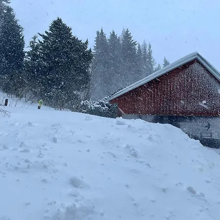 Pensjonat Wolf House Klinovec