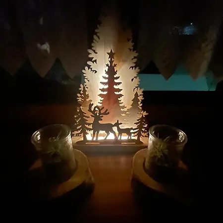 Pensjonat Wolf House Klinovec 3*