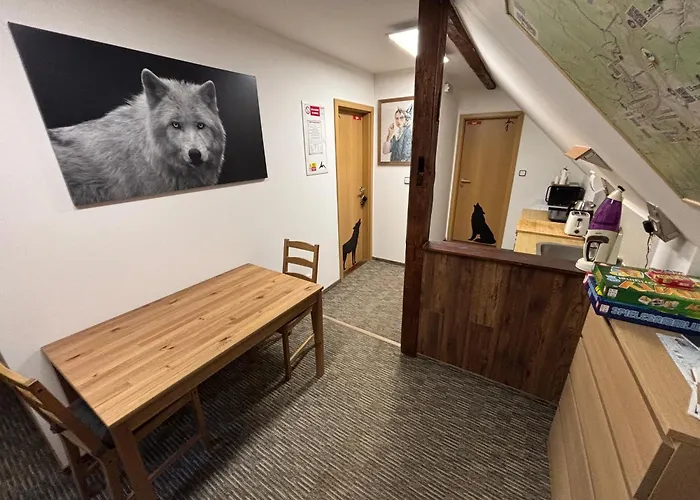 Wolf House Klinovec 招待所 Loučná pod Klínovcem